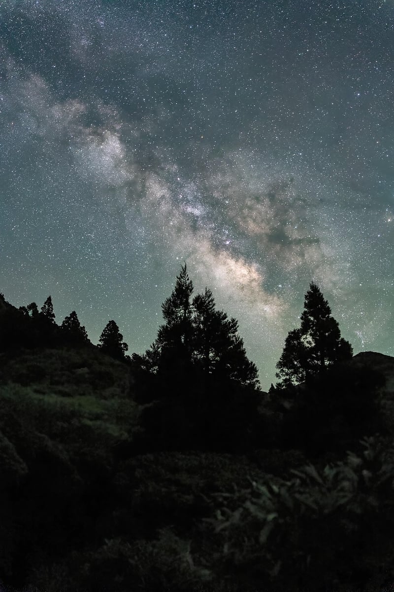 Galactic Image